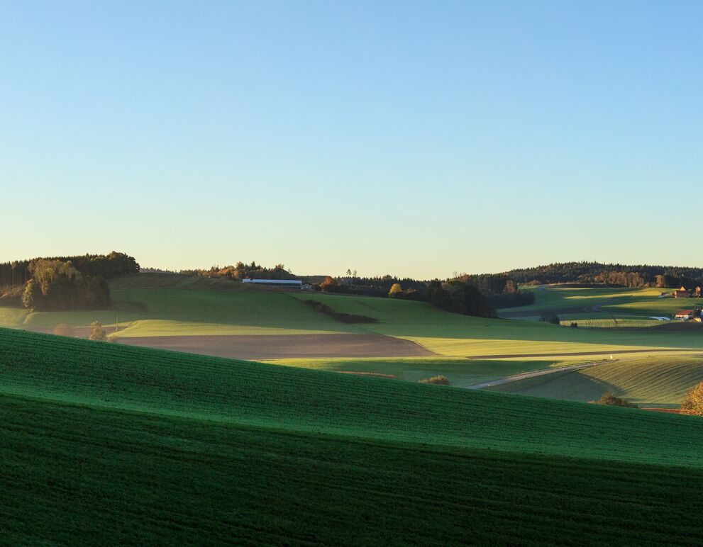 Panoramabild von Innviertler Landschaft; Buam steht auf Feld; Sonne scheint; im Hintergrund erkennt man eine Ortschaft;