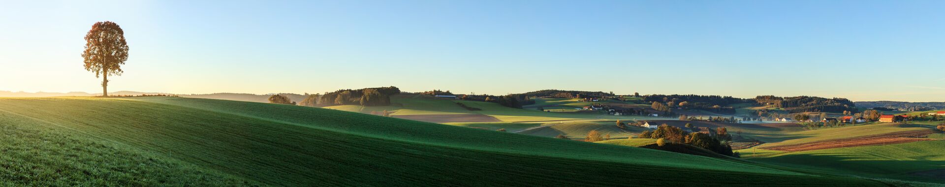 Panoramabild von Innviertler Landschaft; Buam steht auf Feld; Sonne scheint; im Hintergrund erkennt man eine Ortschaft;
